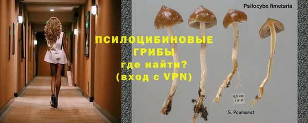 бутират Покров