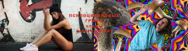 амфетамин Покачи
