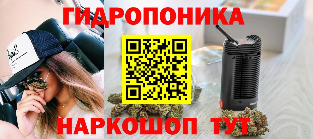 Бошки марихуана Bruce Banner Стерлитамак